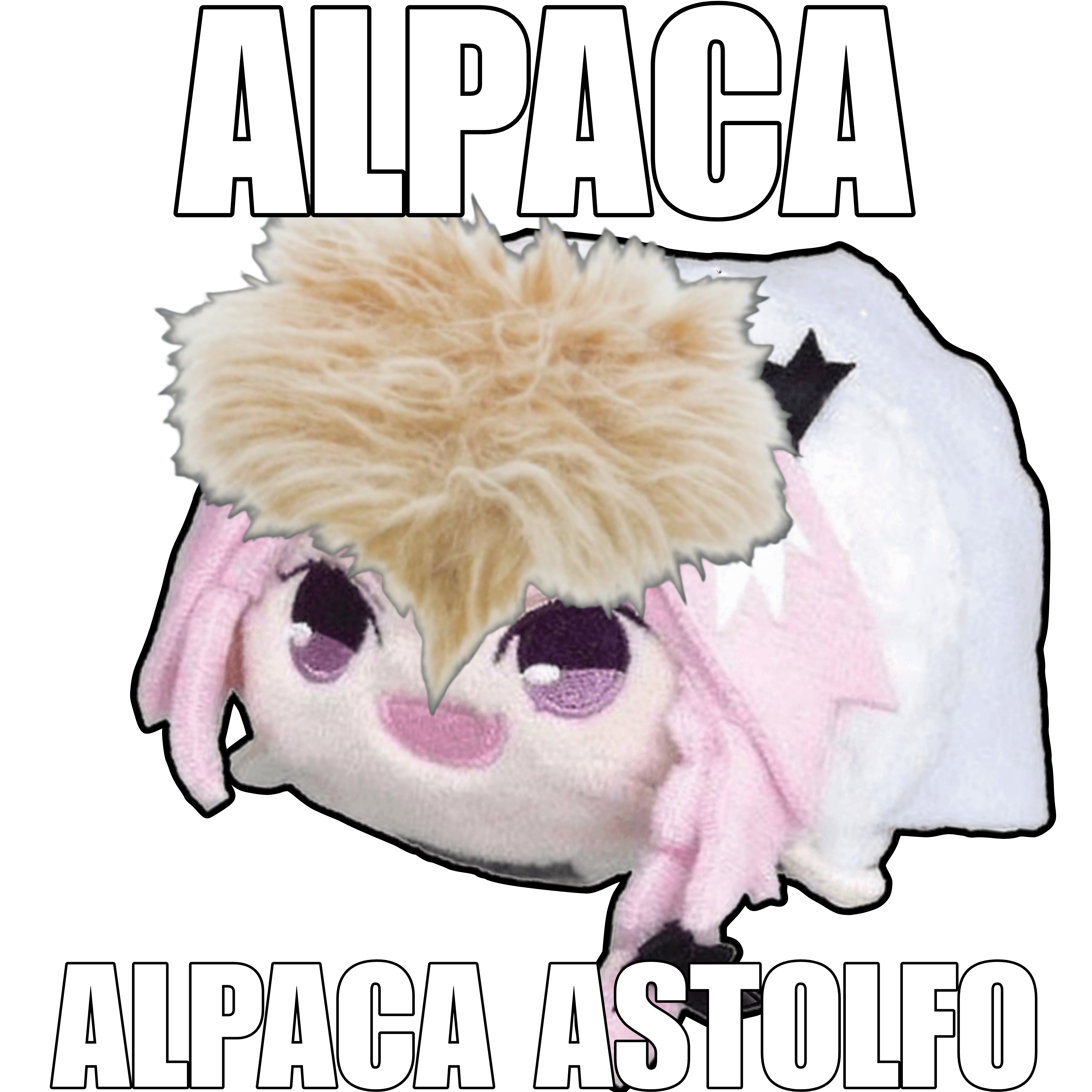 Alpaca